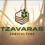 /customerDocs/images/avatars/37251/tzavaras backround(1).jpg